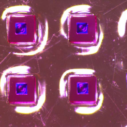 close-up view of dye-loaded particles on a glass slide