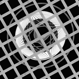 circular rings seen through a grid of squares
