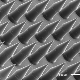 close up view of missile-shaped microneedles, grayscale with a glow around the edges
