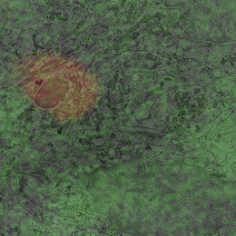 A haze of green spots with dark lines covers a reddish fingerprint-like oval with its own red and yellow haze around