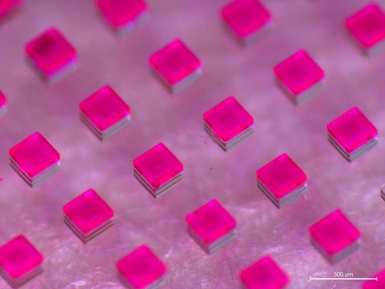 bright pink cubic particles on a glass slide