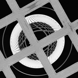 circular rings seen through a grid of squares