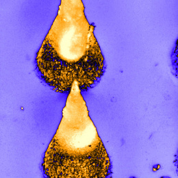 pair of gold cones on an indigo background