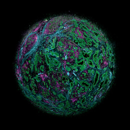 a globe-like sphere of green, magenta, and cyan swirls and spots